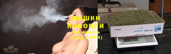 винт Касимов