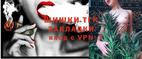 винт Касимов