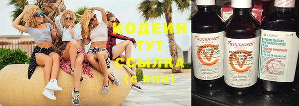 МДПВ Карпинск