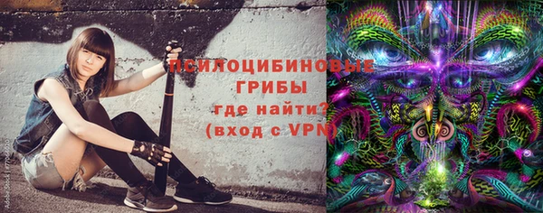винт Касимов